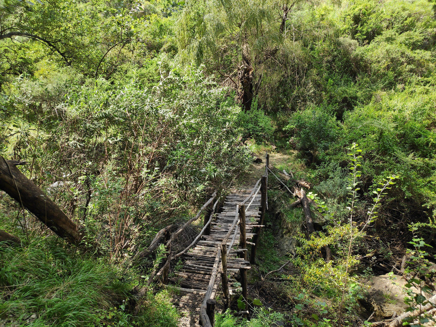  Meiringskloof Nature Park