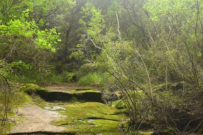  Meiringskloof Nature Park