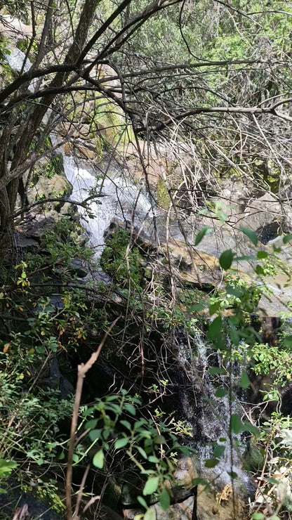  Meiringskloof Nature Park