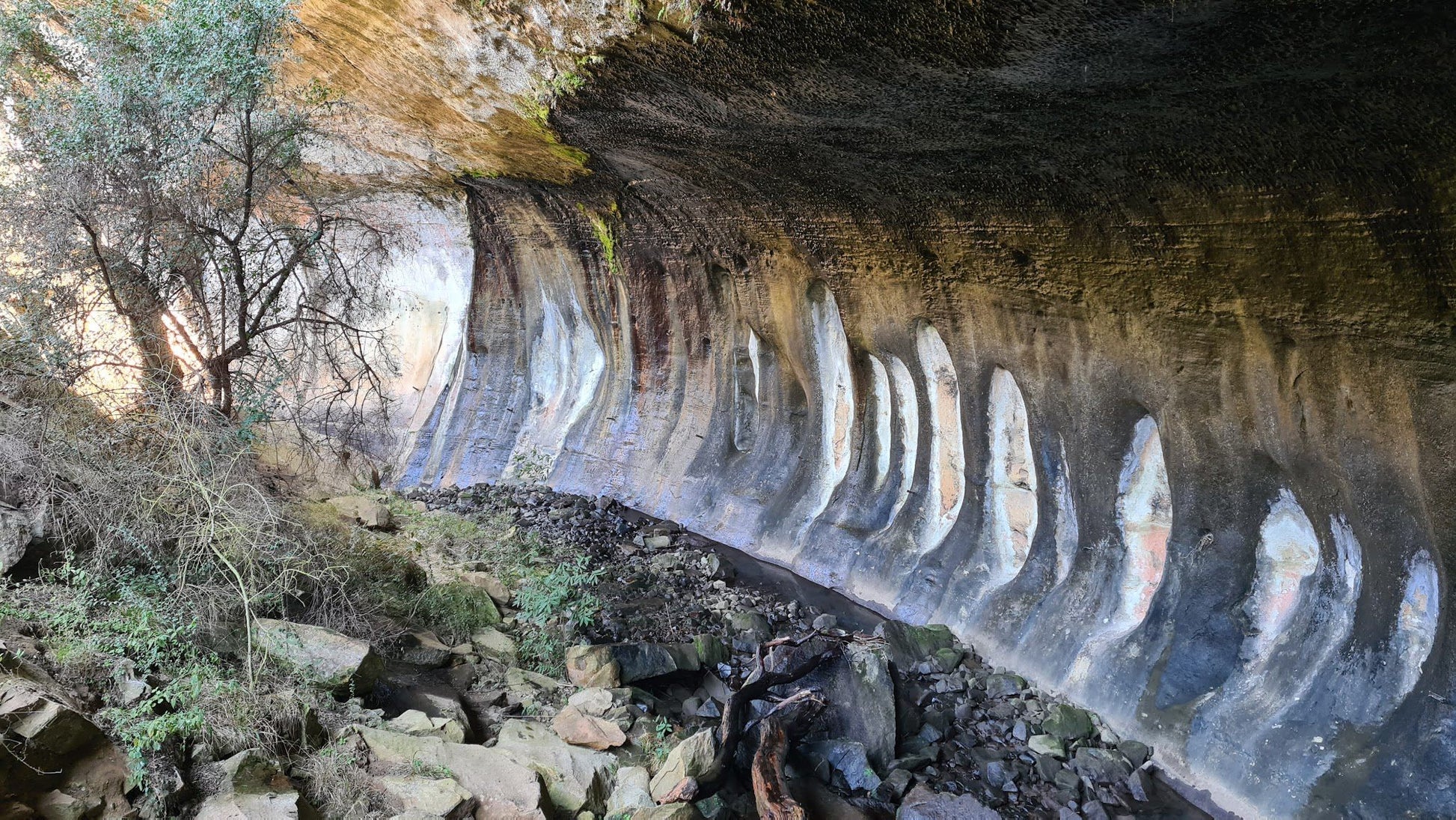  Meiringskloof Nature Park