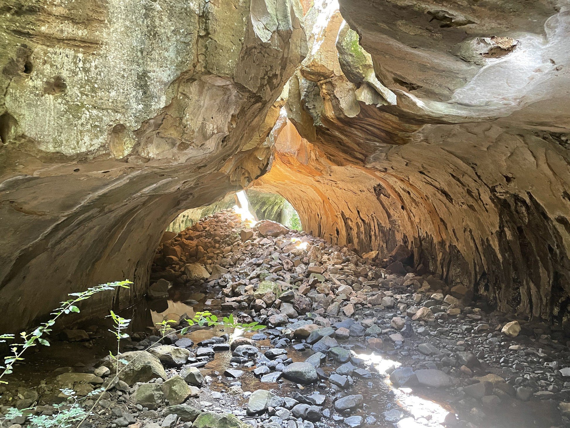  Meiringskloof Nature Park