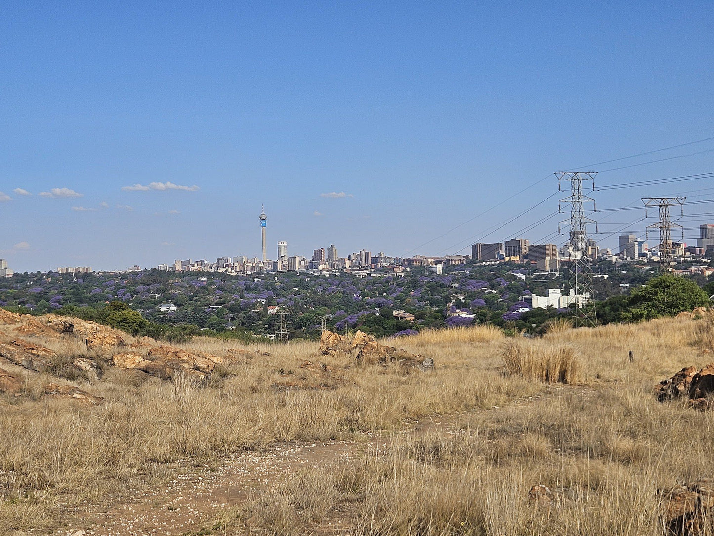  Melville Koppies Nature Reserve