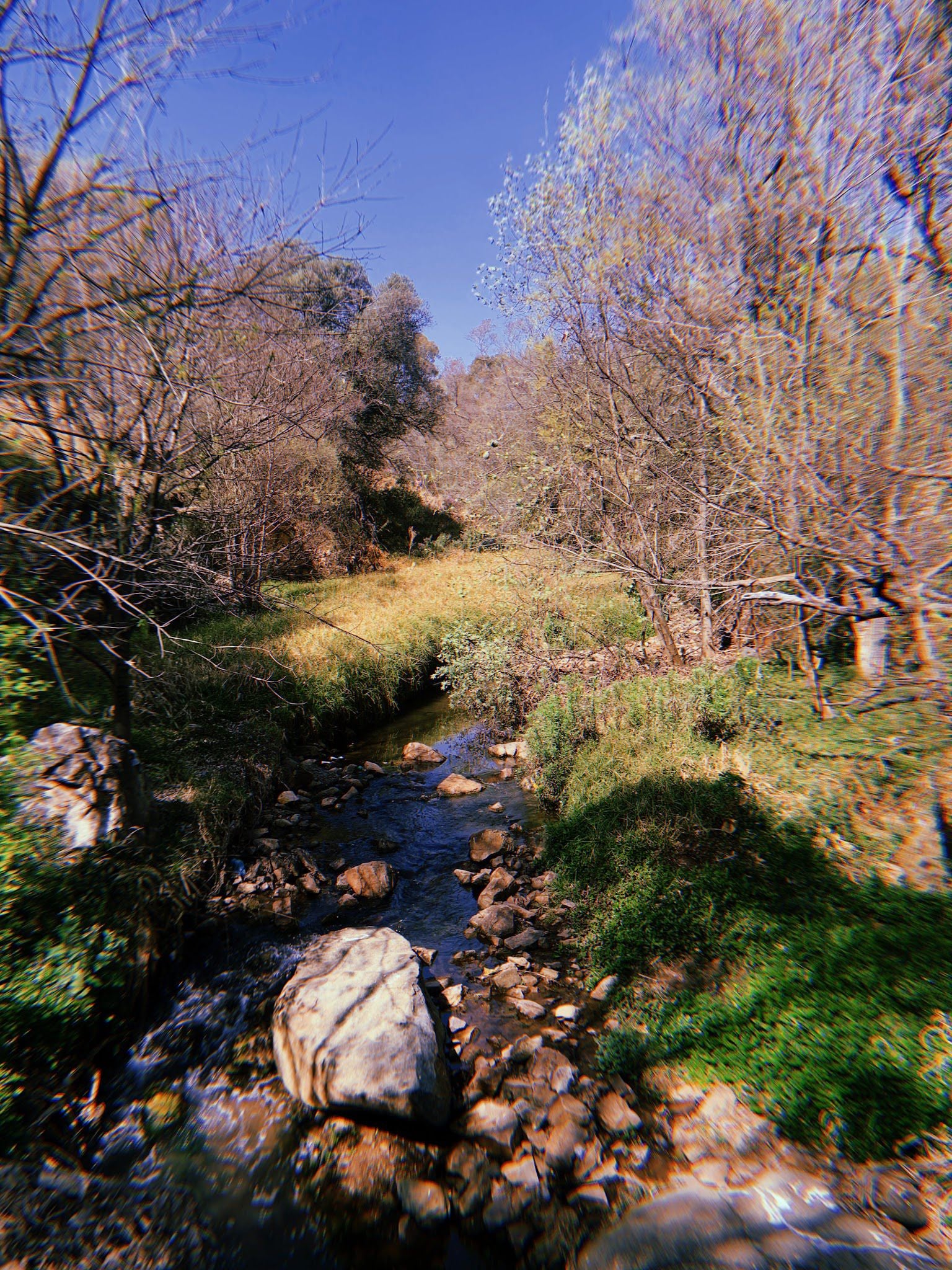  Melville Koppies Nature Reserve