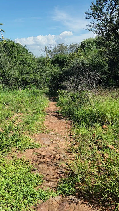  Melville Koppies Nature Reserve