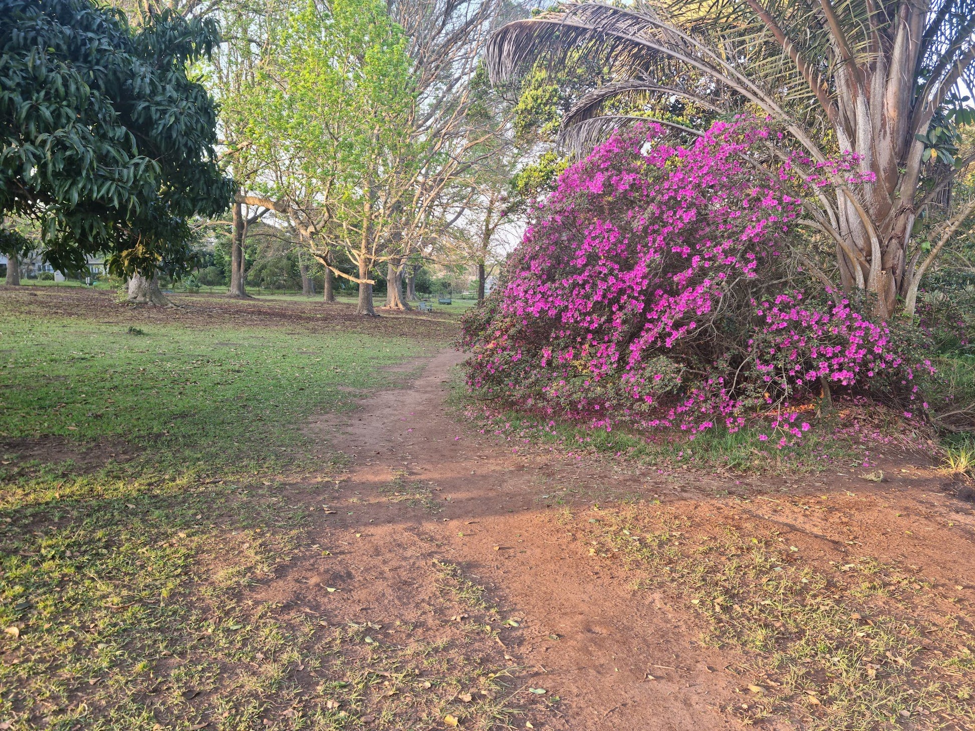  Memorial Park