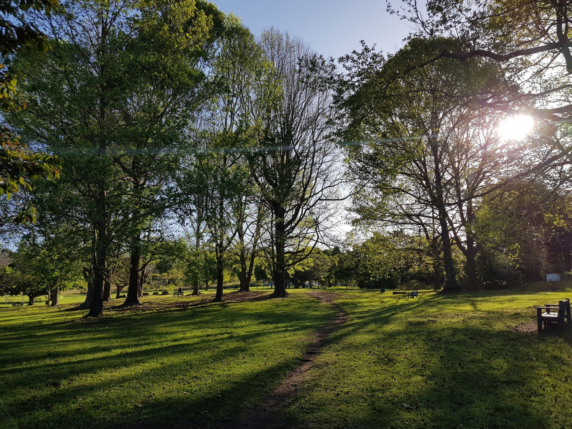  Memorial Park