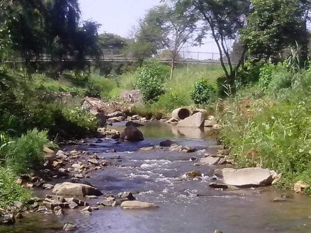  Meyerspark Bird Sanctuary