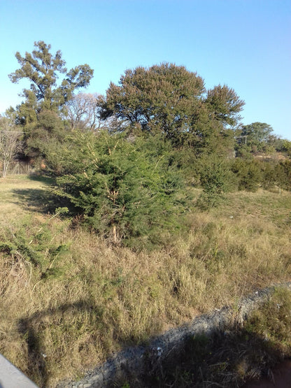  Meyerspark Bird Sanctuary