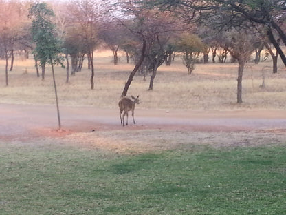  Mhara Game Lodge