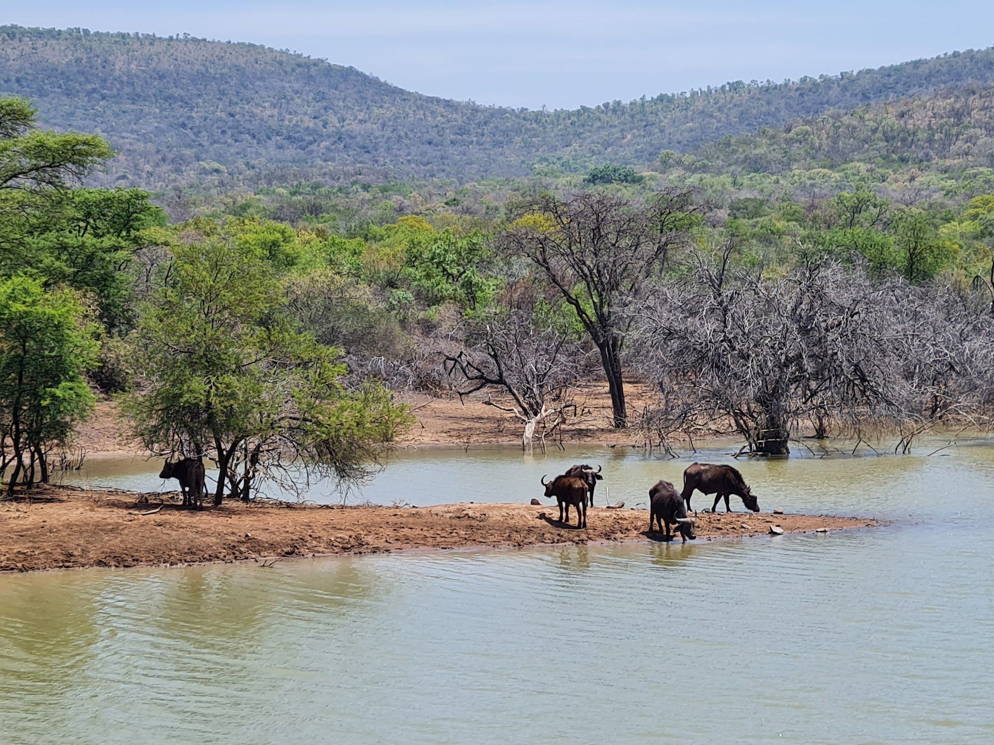  Mhara Game Lodge