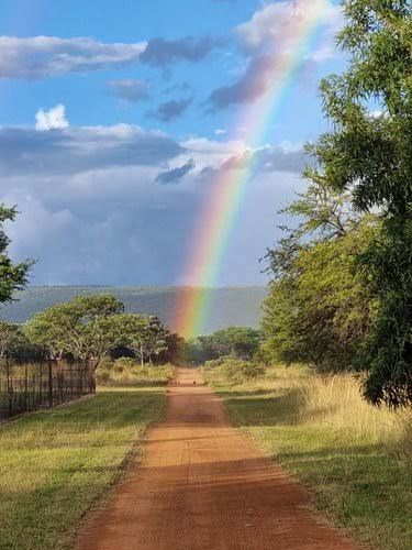  Mhara Game Lodge