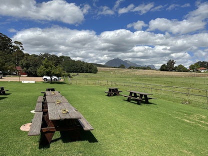  Middelvlei Wine Estate