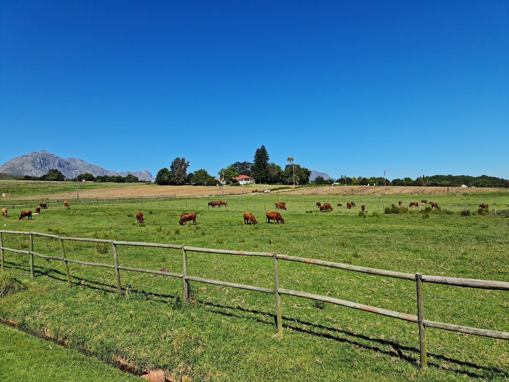  Middelvlei Wine Estate