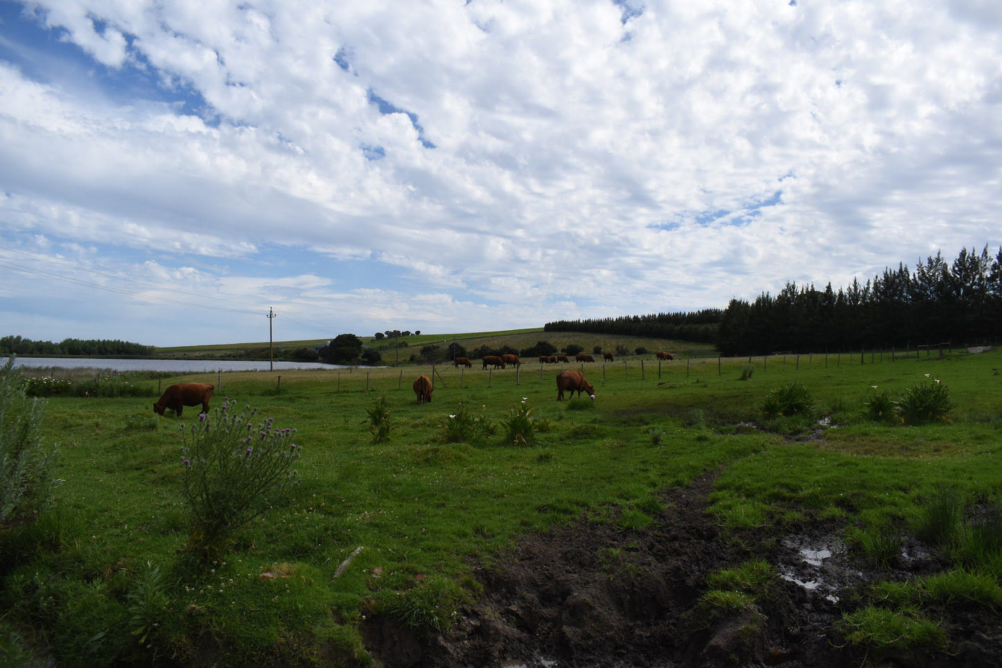  Middelvlei Wine Estate