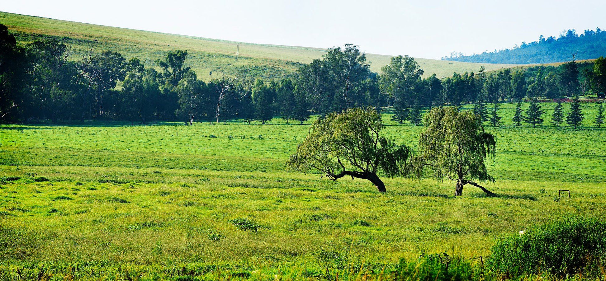  Midlands Meander Association Office