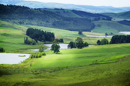  Midlands Meander Association Office