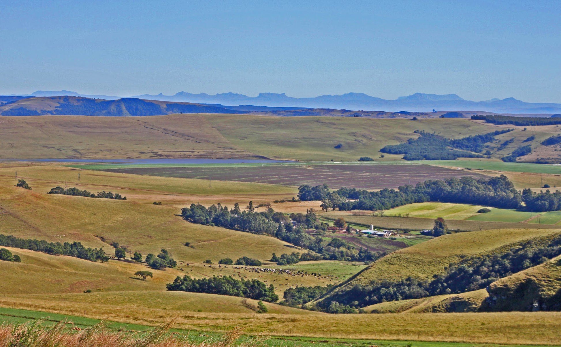  Midlands Meander Association Office