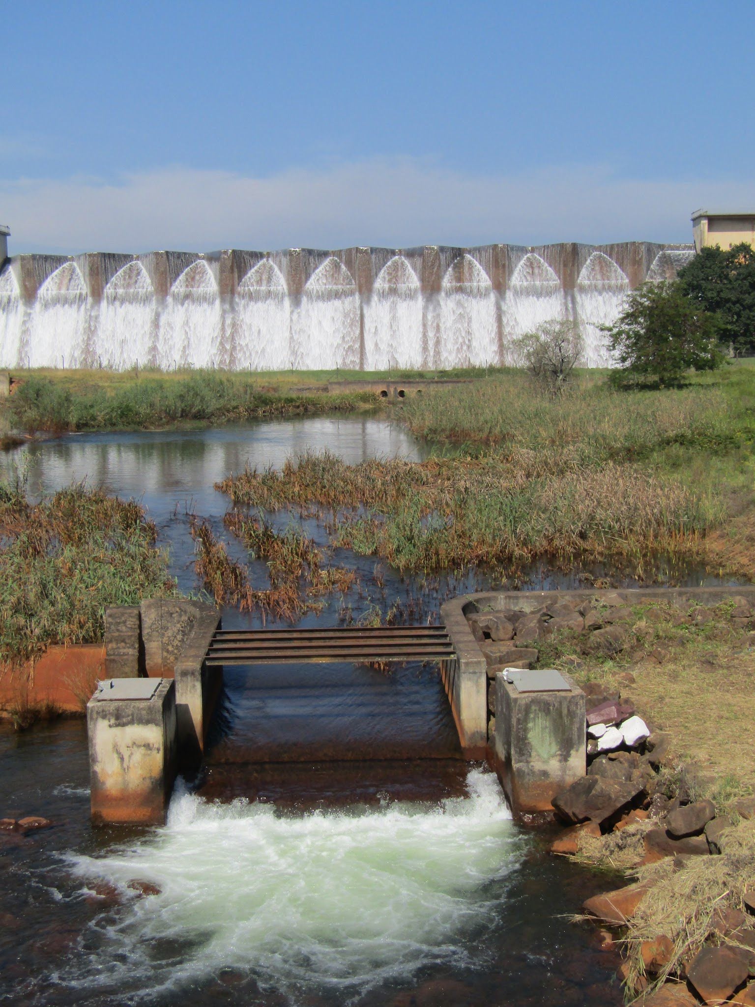  Midmar Nature Reserve