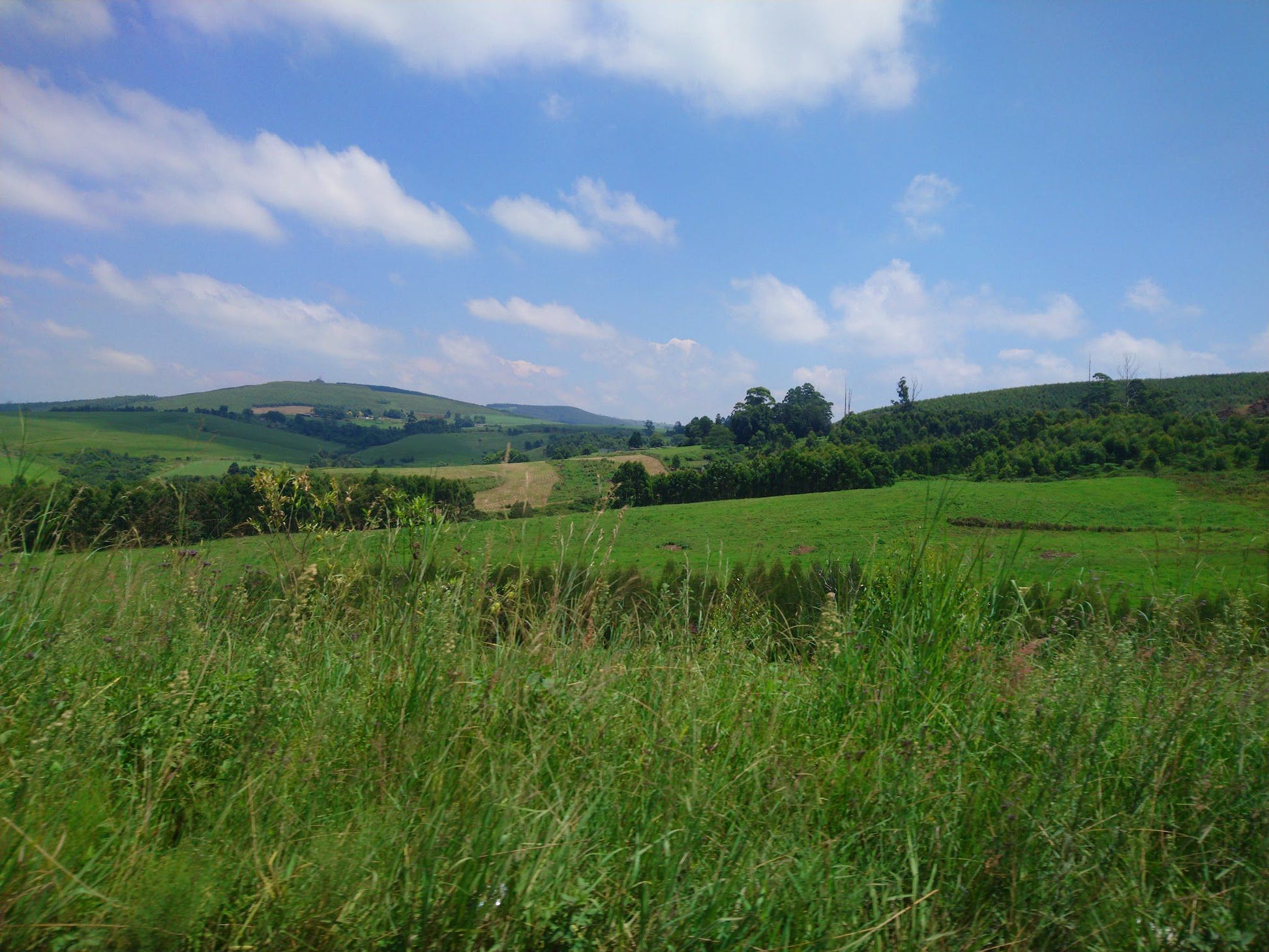  Midmar Nature Reserve