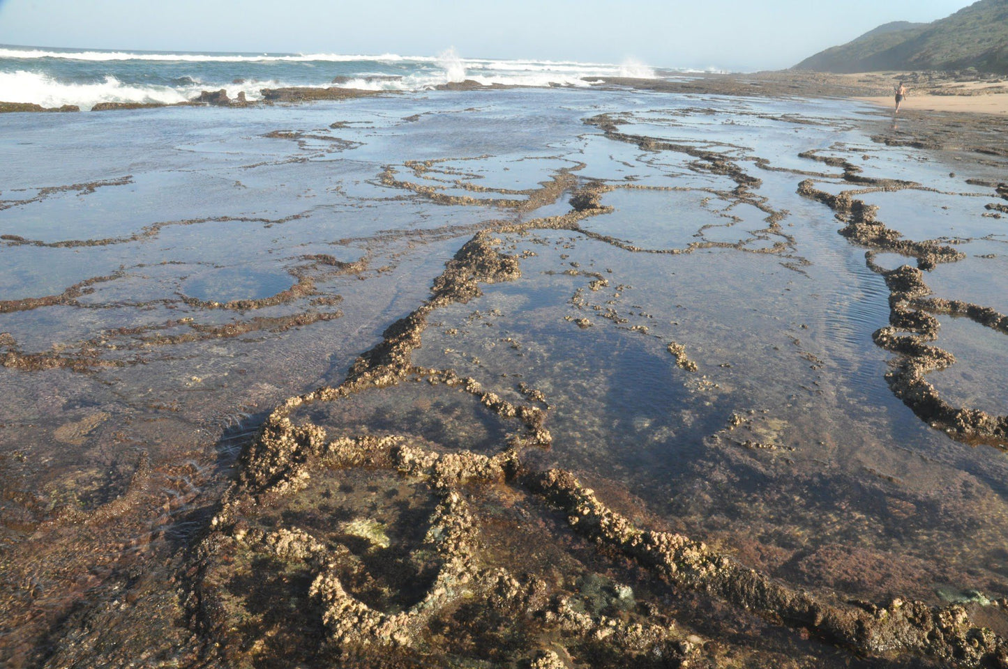  Mission Rocks Beach