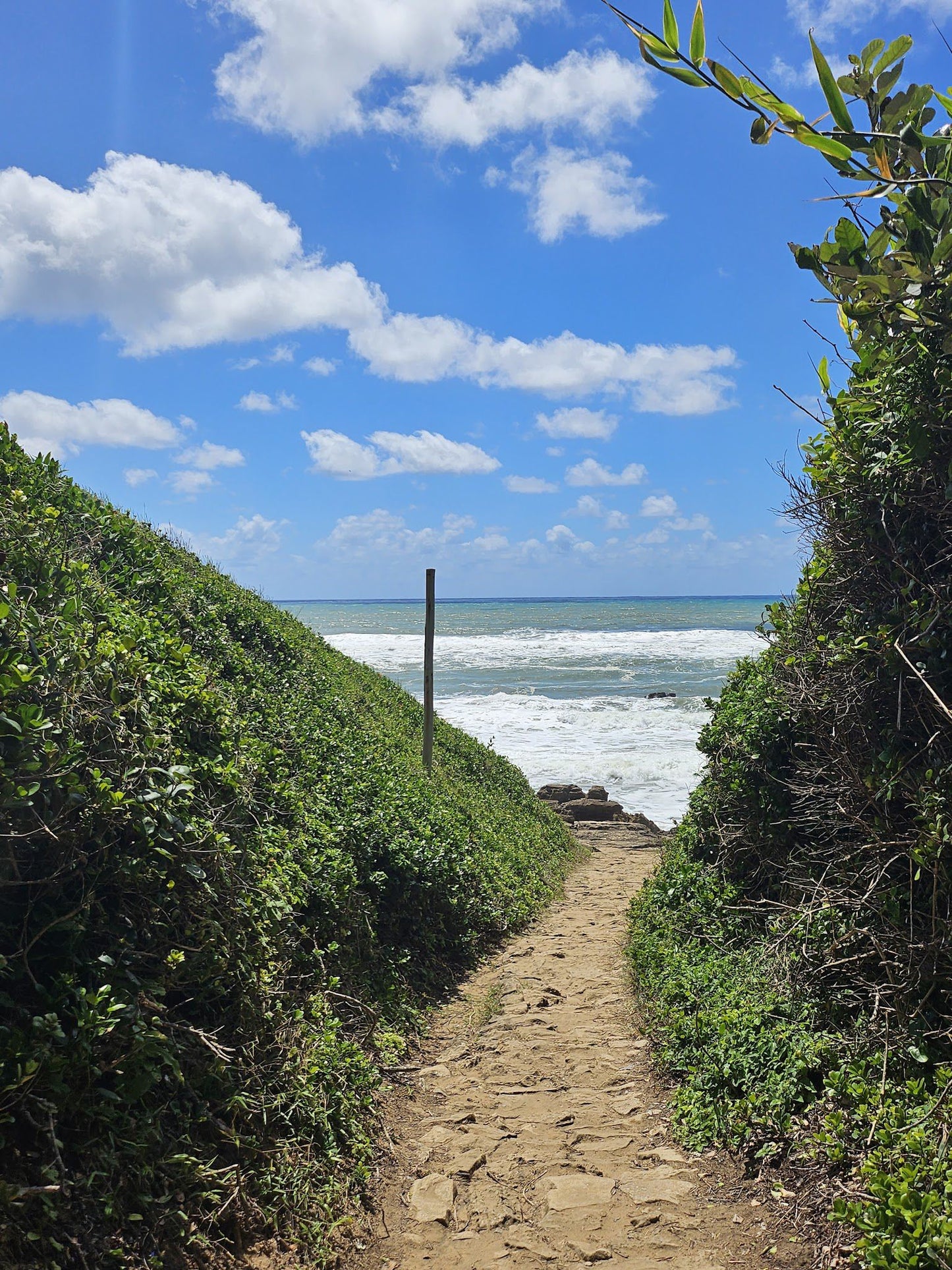  Mission Rocks Beach