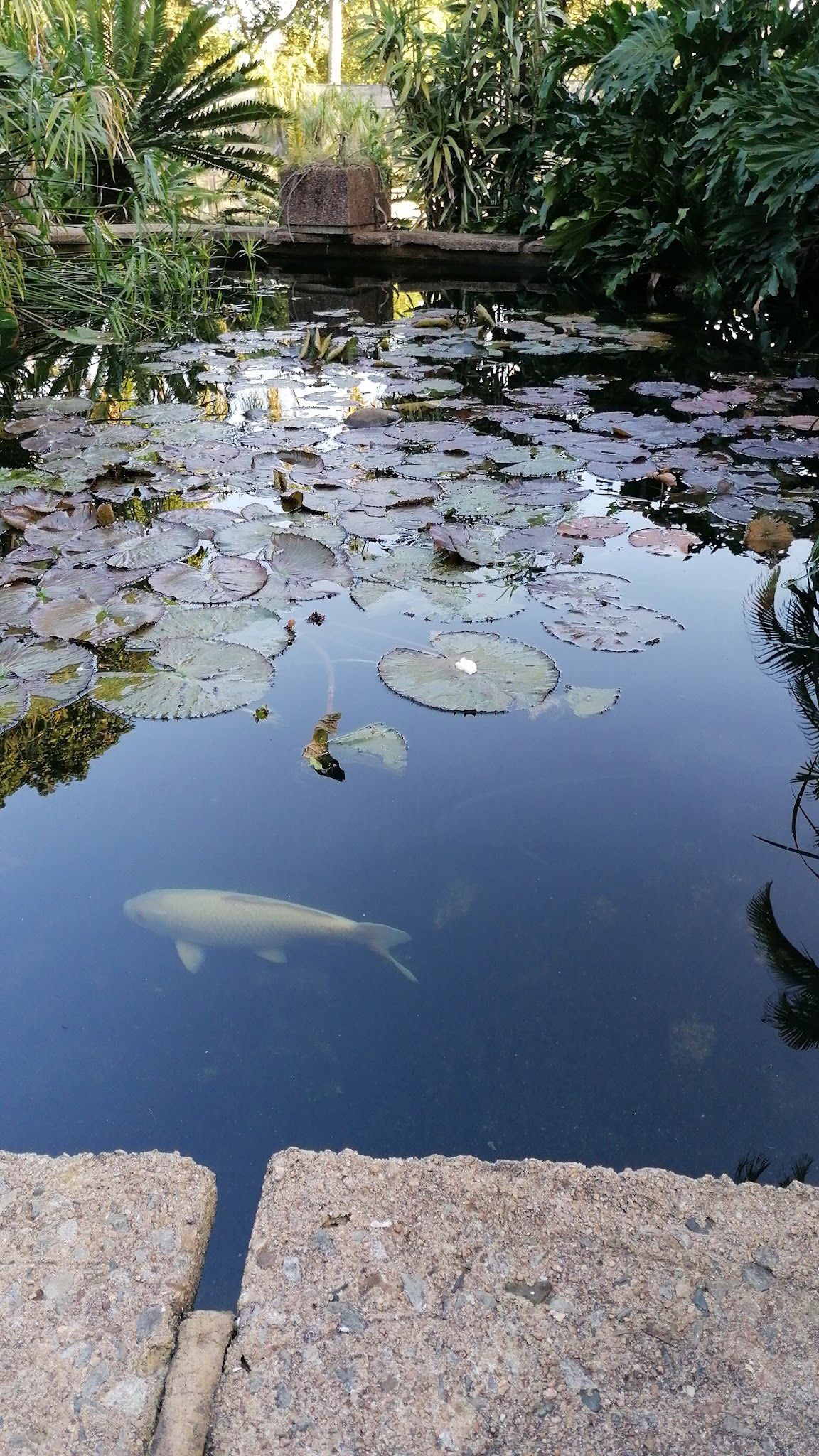  Mitchell Park Zoo