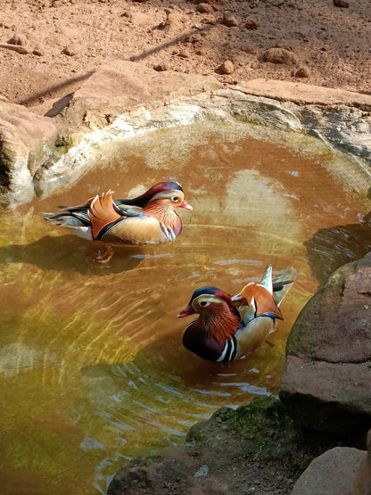  Mitchell Park Zoo