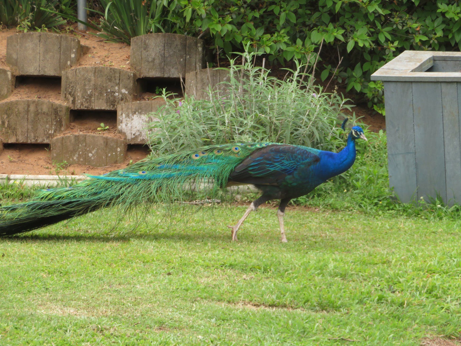  Mitchell Park Zoo