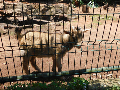  Mitchell Park Zoo