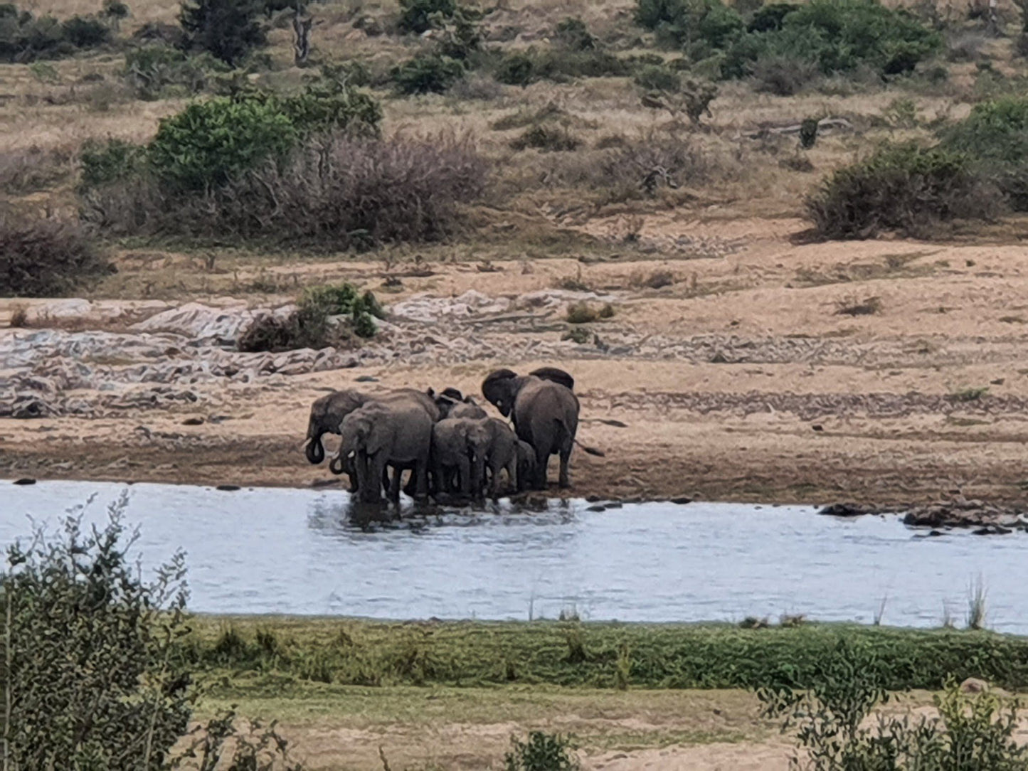  Mjejane Private Game Reserve