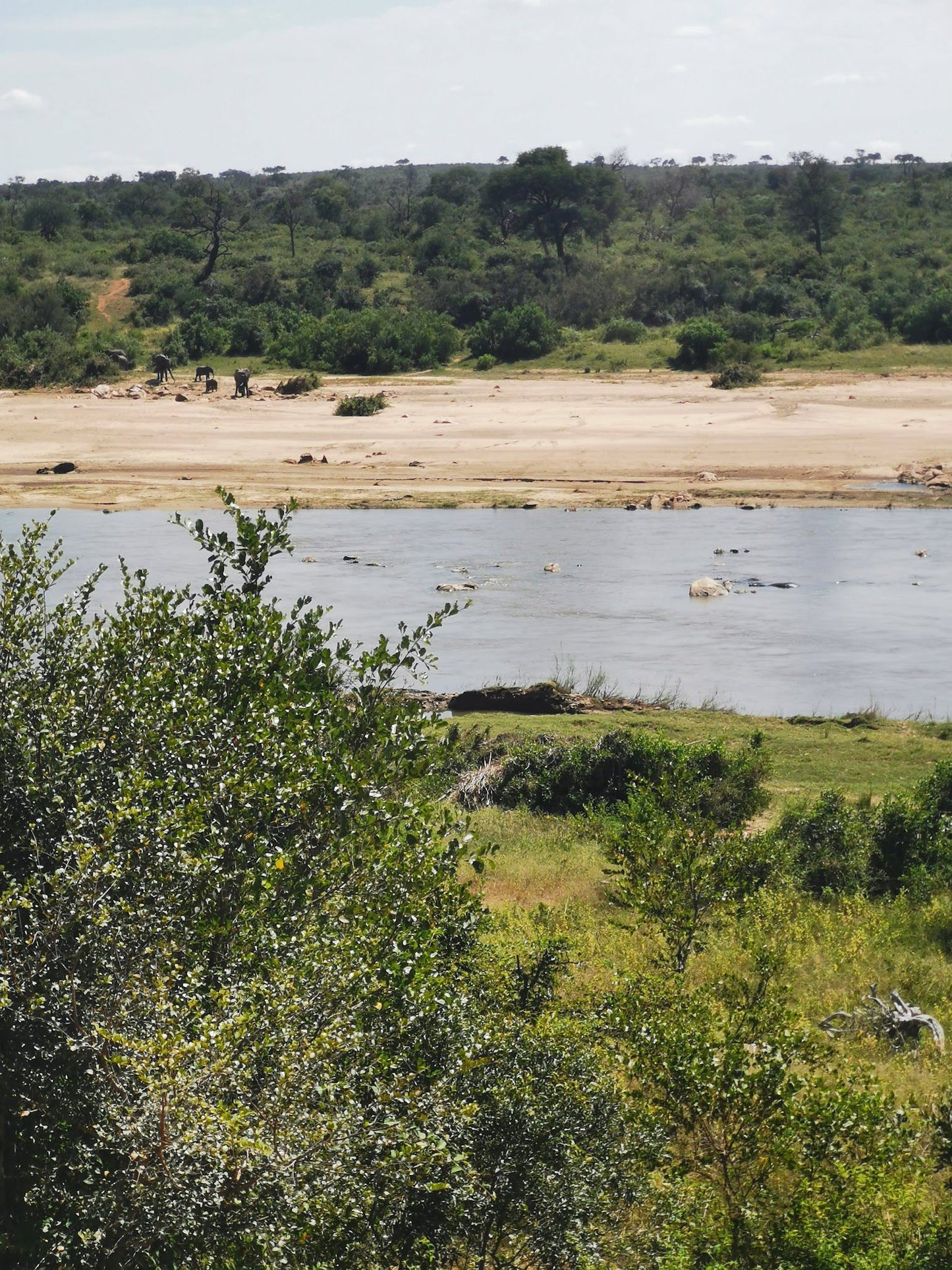  Mjejane Private Game Reserve