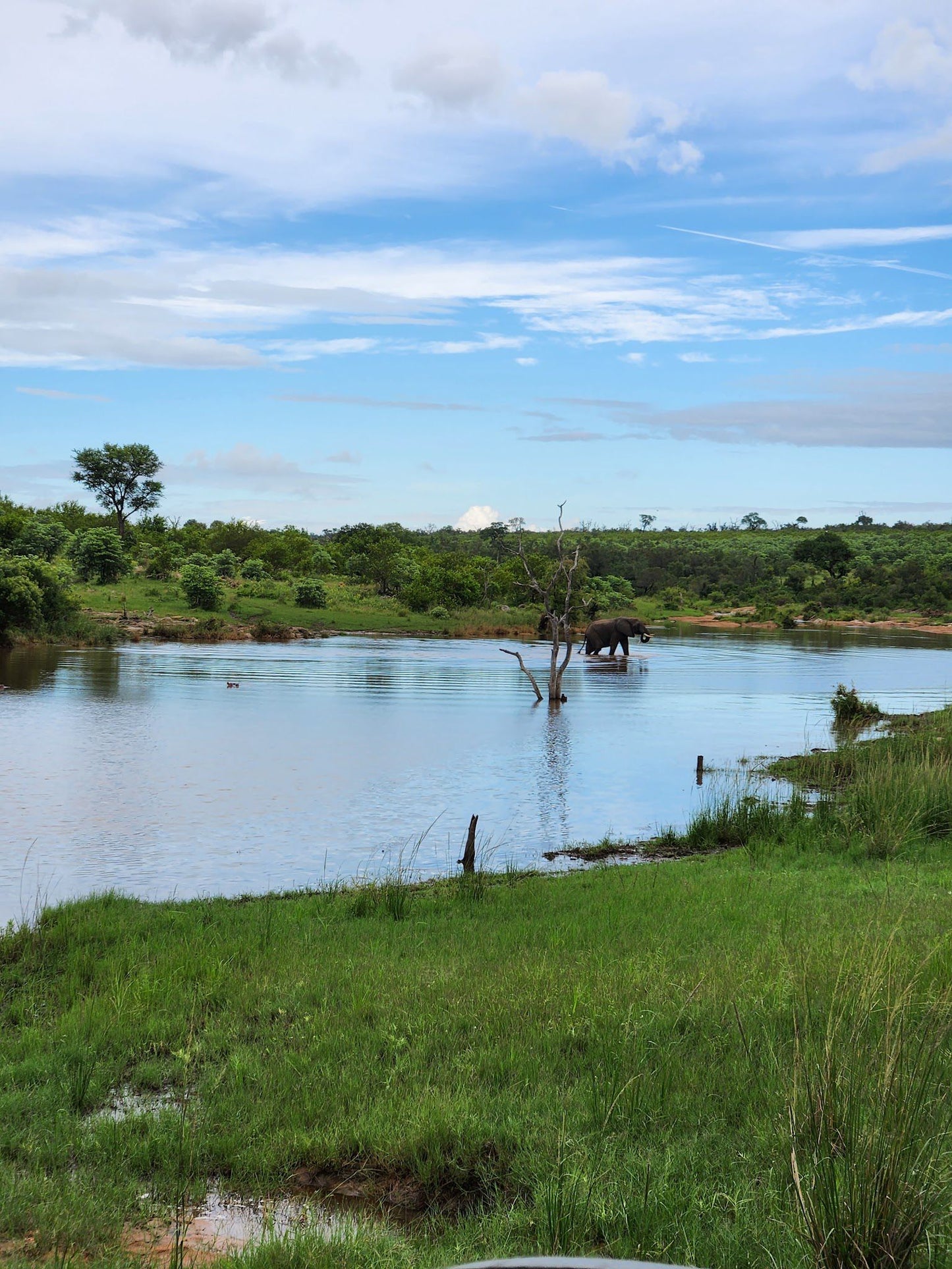  Mjejane Private Game Reserve