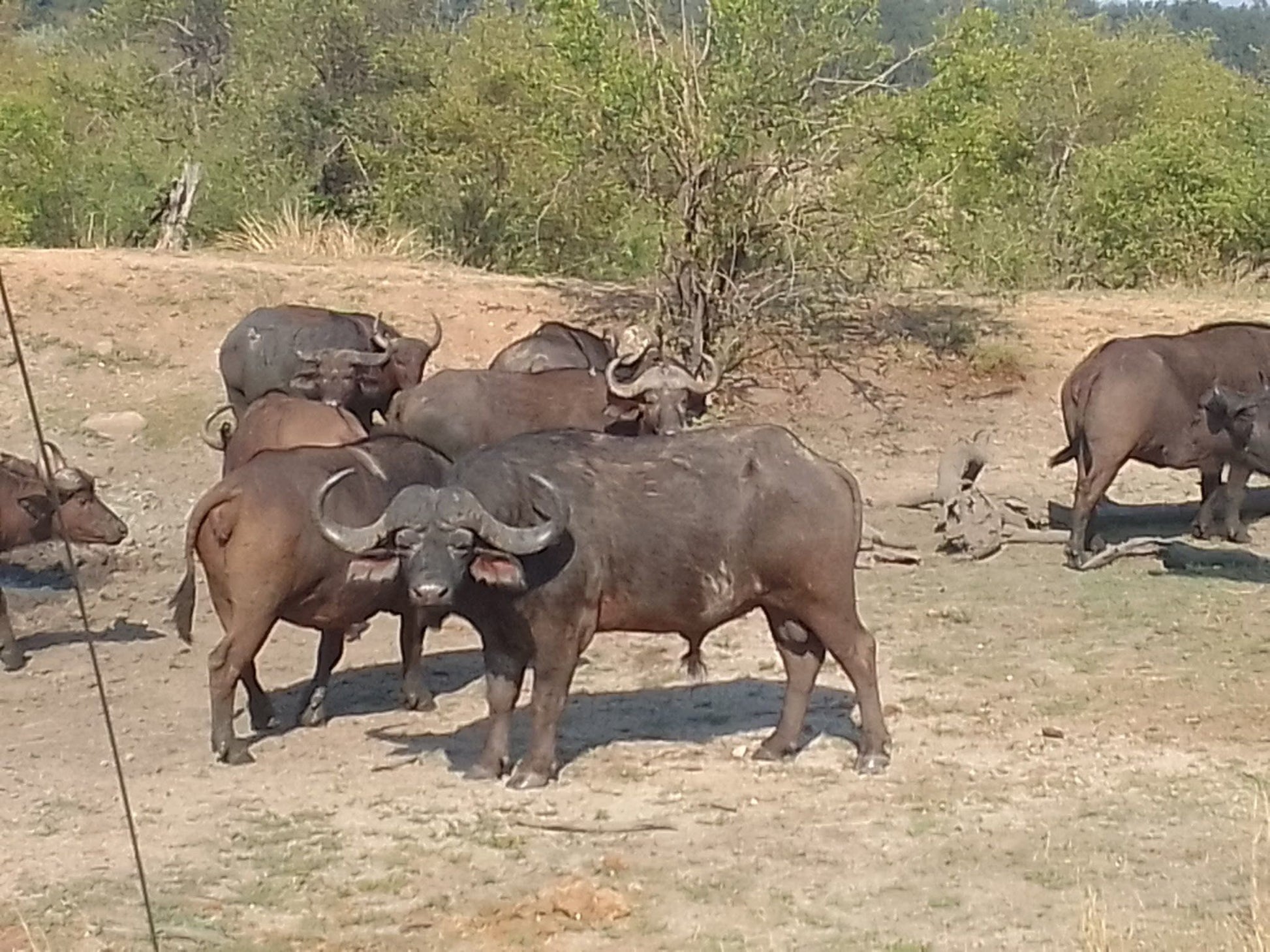  Mjejane Private Game Reserve