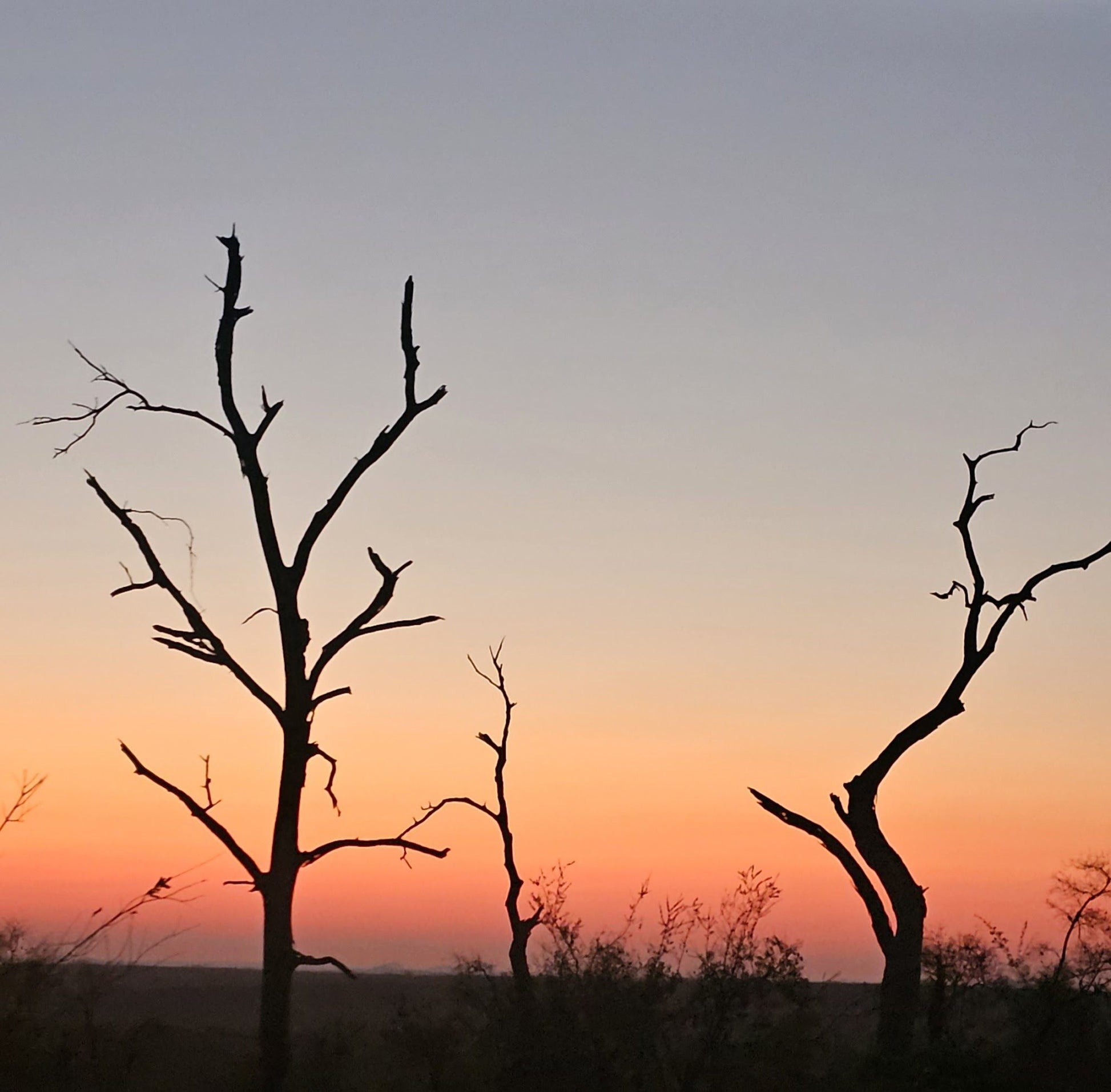  Mjejane Private Game Reserve