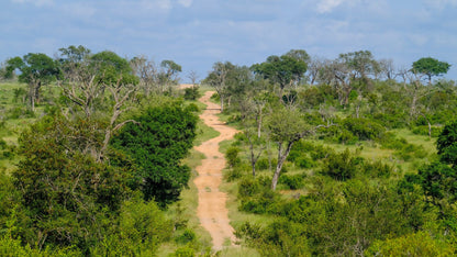  Mjejane Private Game Reserve