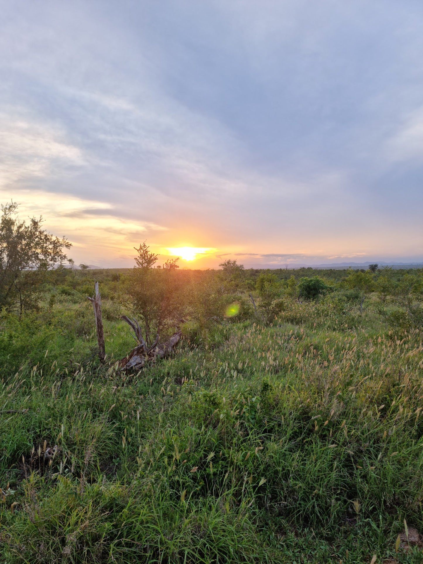  Mjejane Private Game Reserve