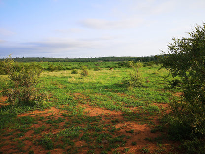  Mjejane Private Game Reserve