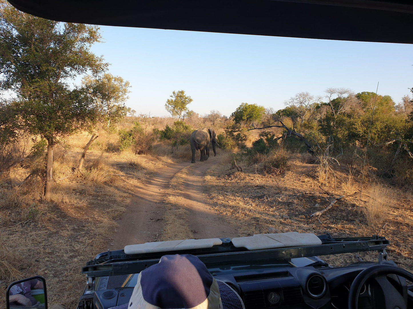  Mjejane Private Game Reserve