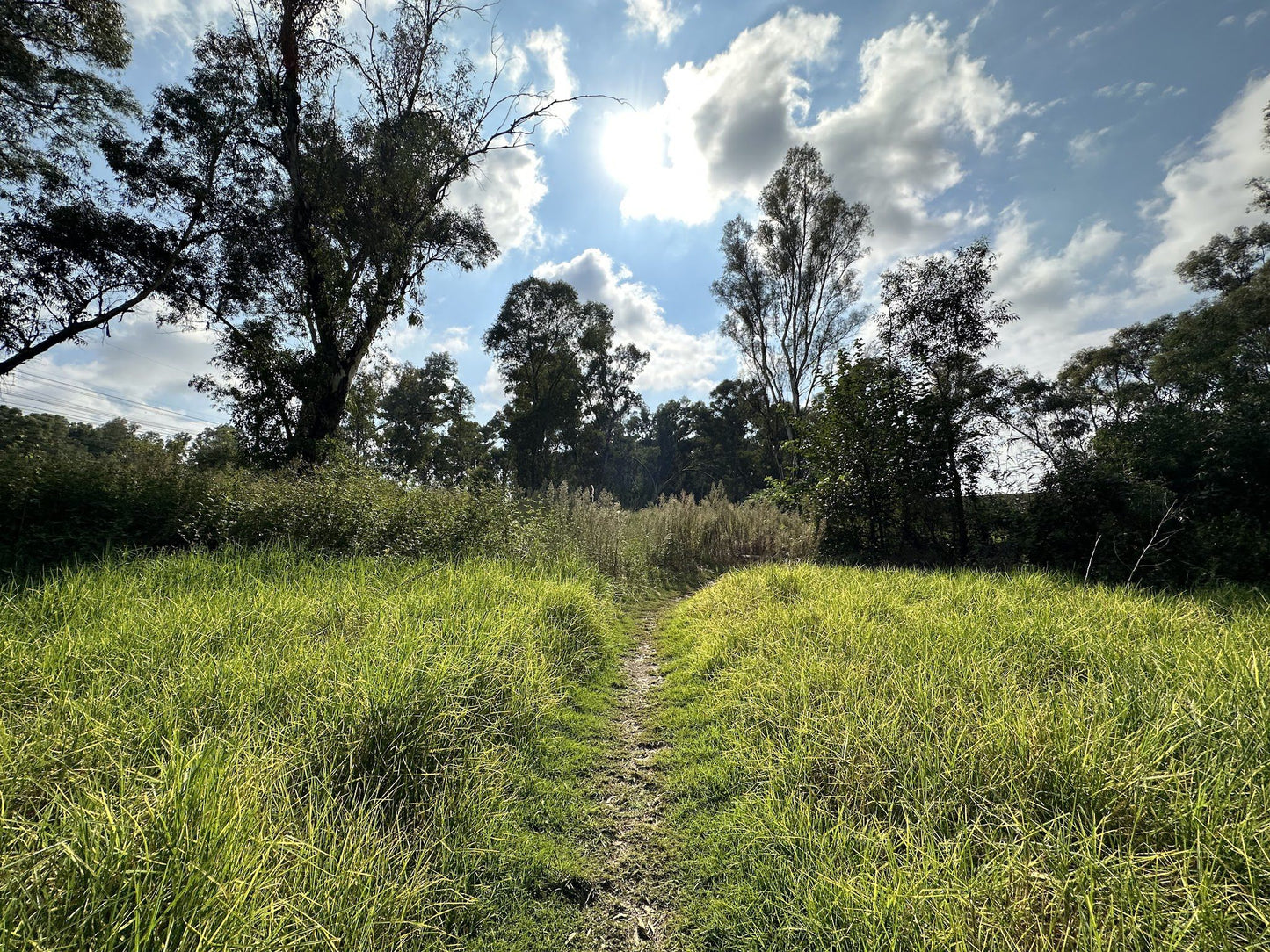  Modderfontein Reserve