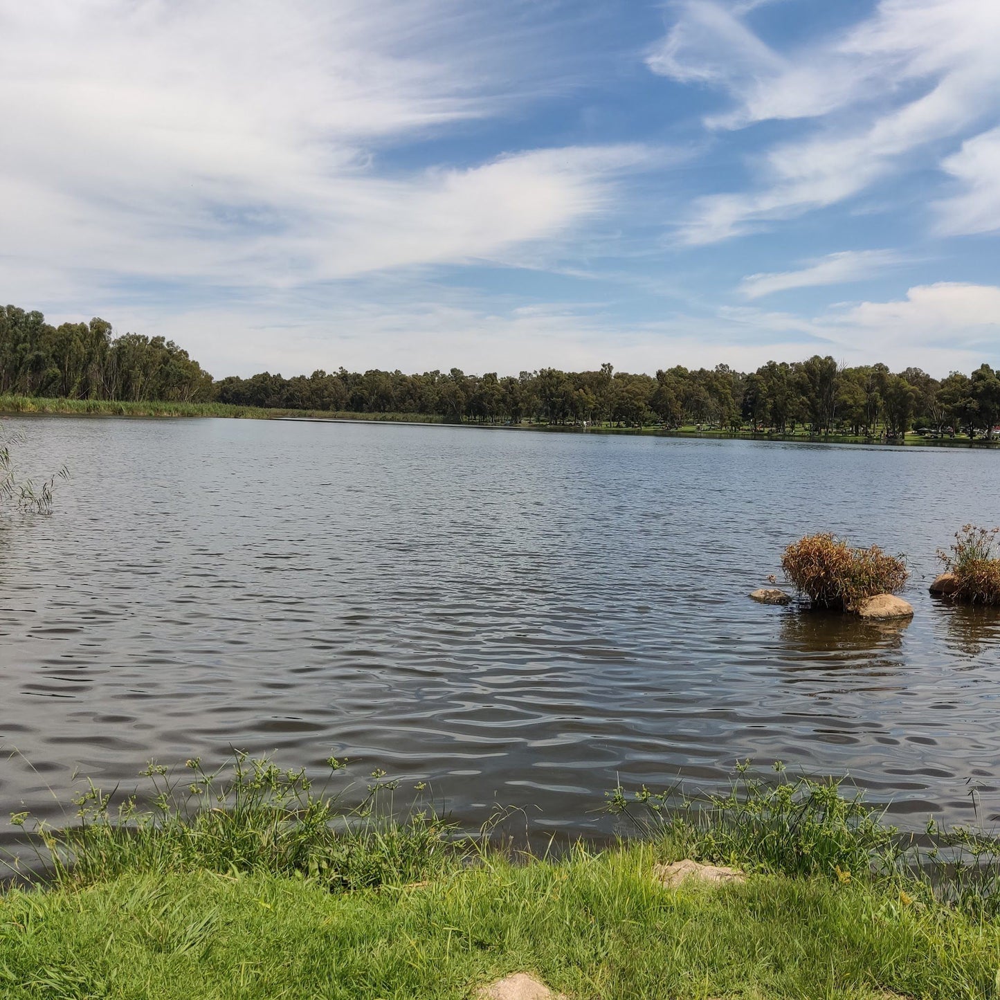  Modderfontein Reserve