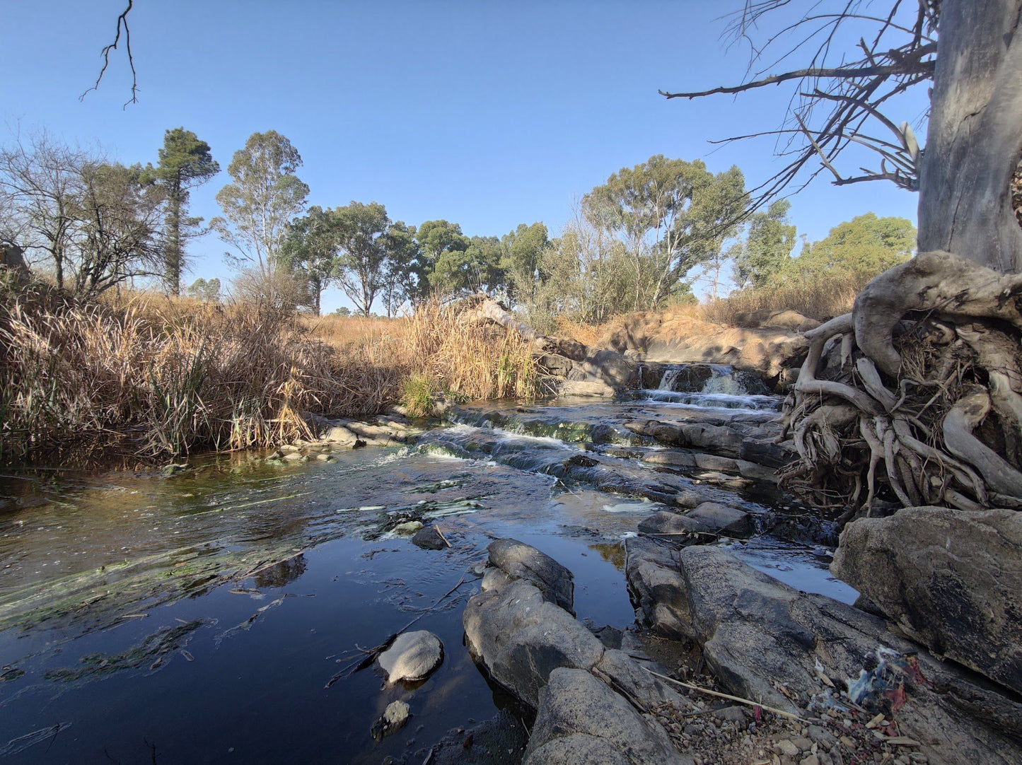  Modderfontein Reserve