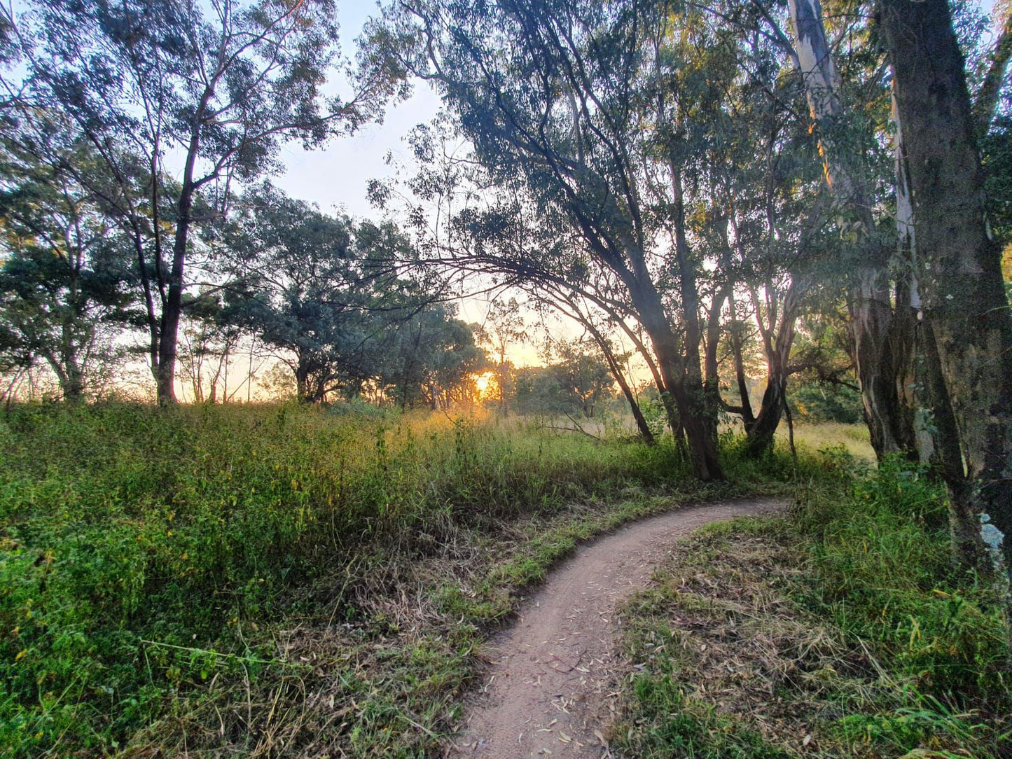  Modderfontein Reserve