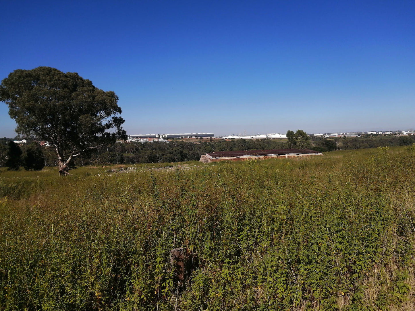  Modderfontein Reserve