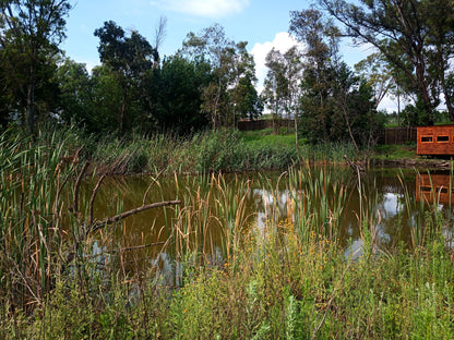  Modderfontein Reserve