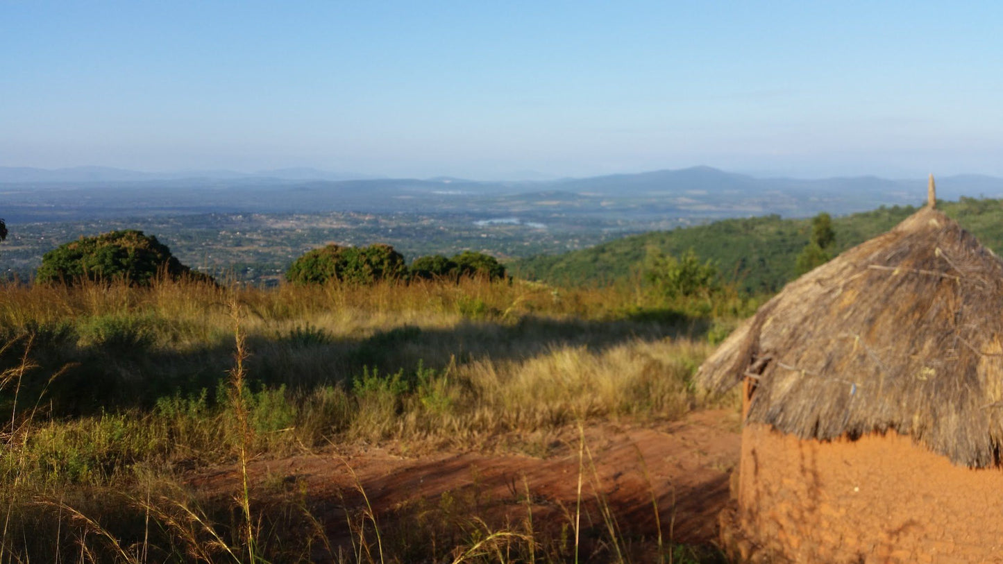  Modjadji Nature Reserve