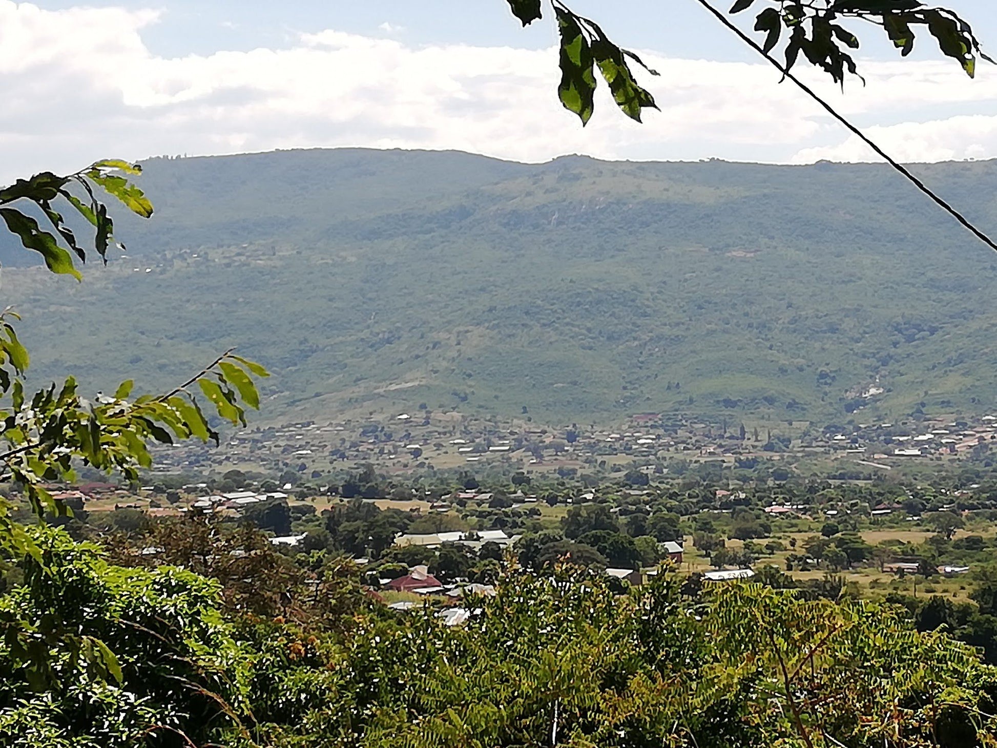  Modjadji Nature Reserve