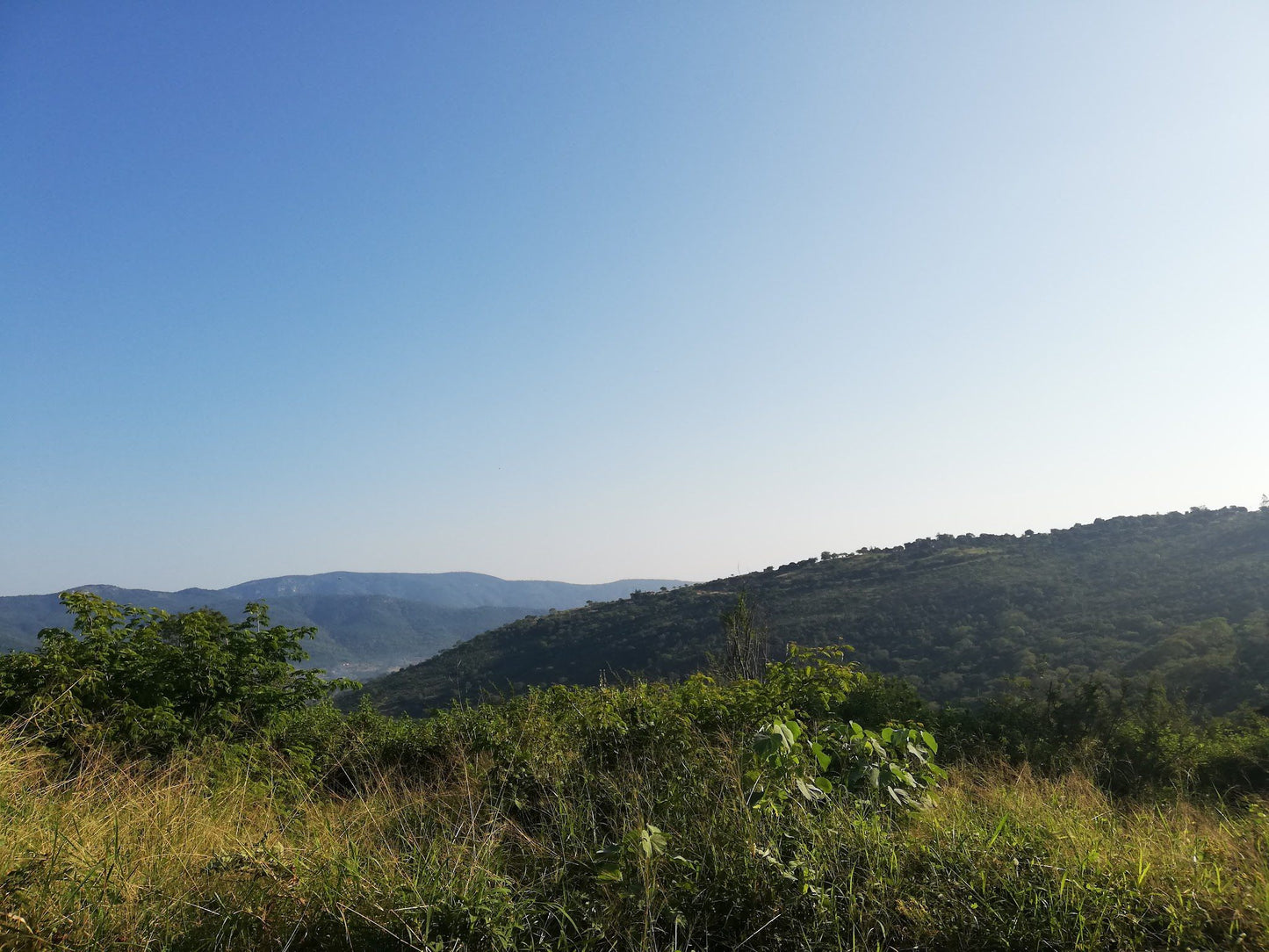  Modjadji Nature Reserve