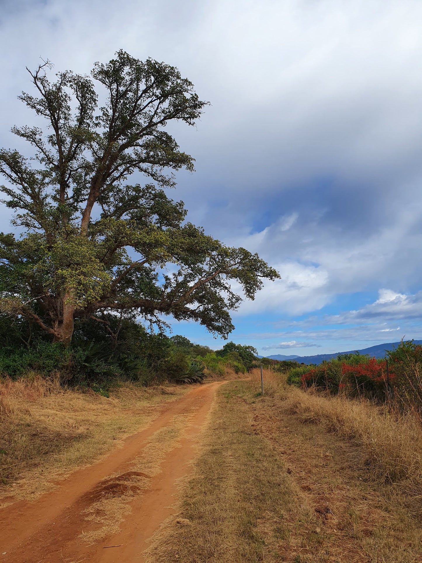  Modjadji Nature Reserve