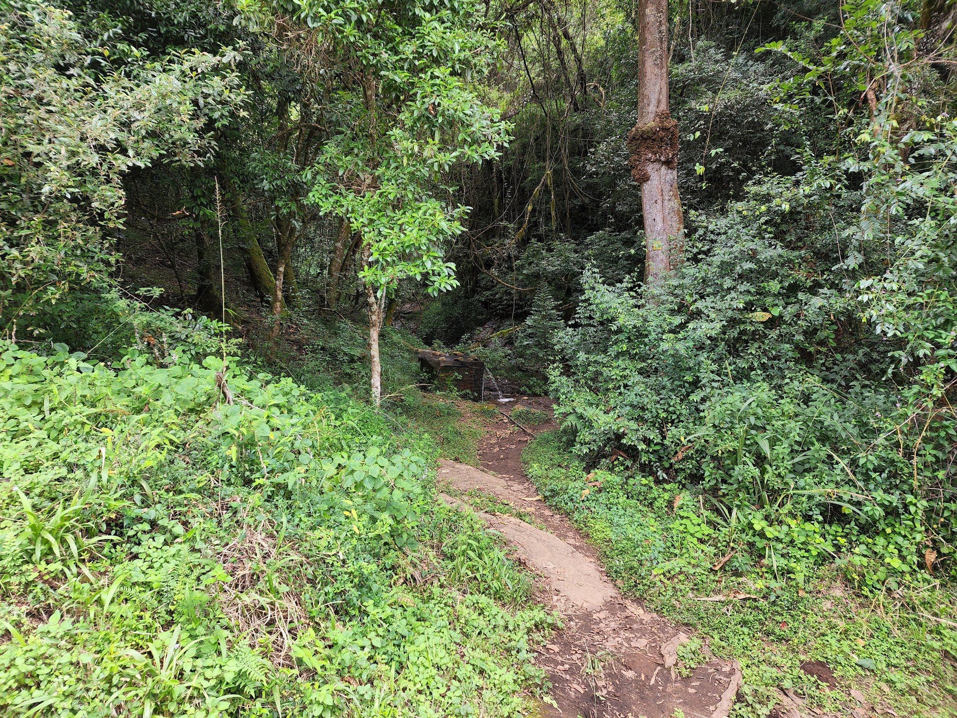  Modjadji Nature Reserve