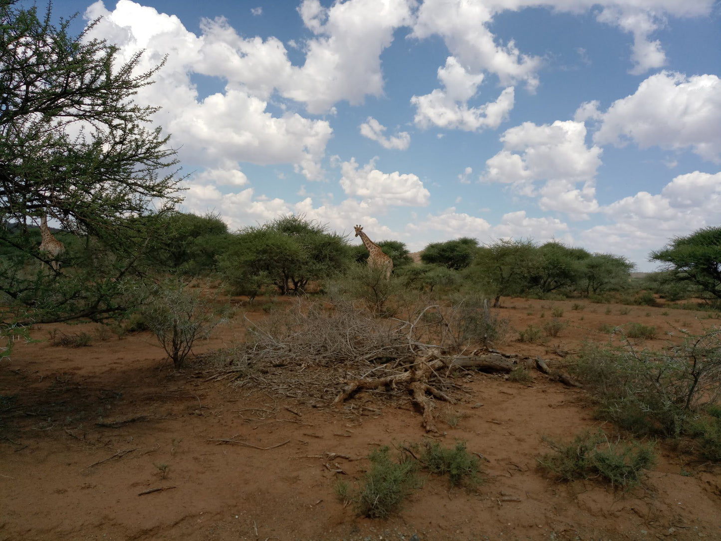  Mokala National Park